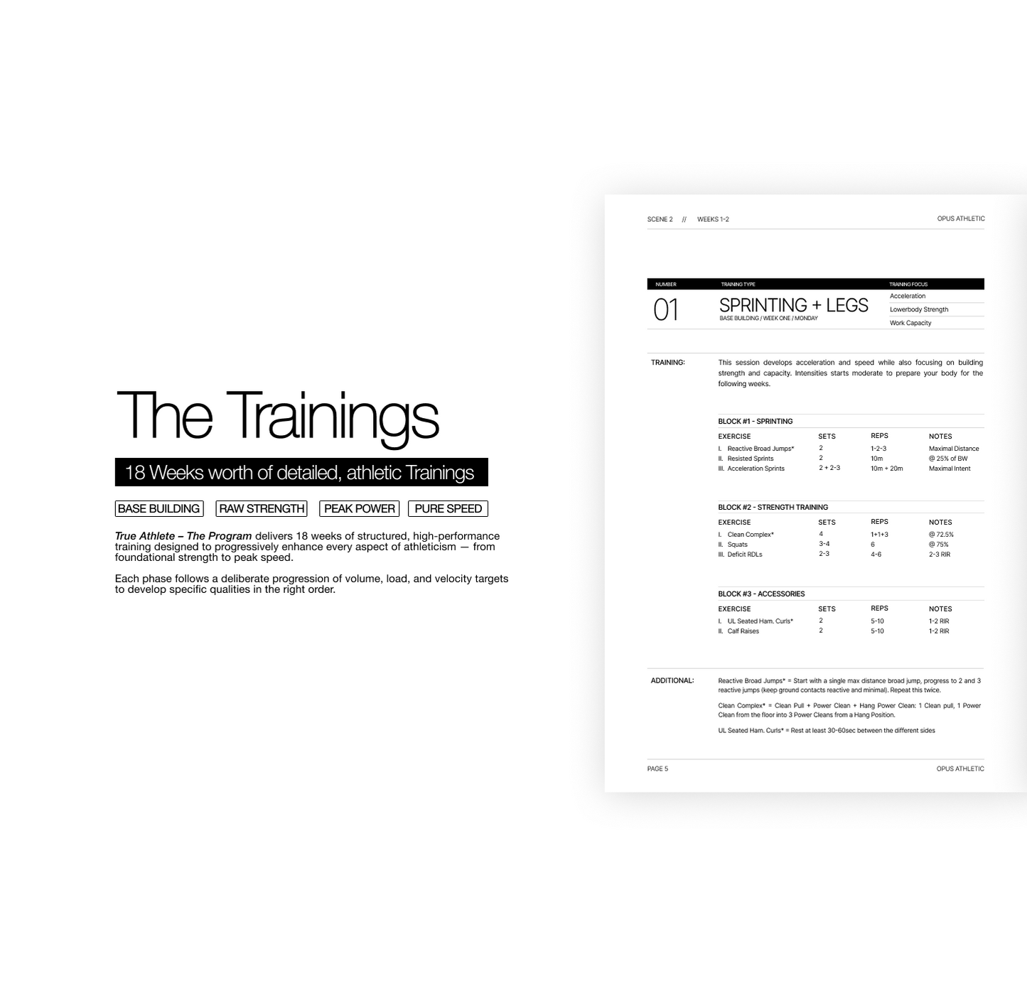 True Athlete - The Program