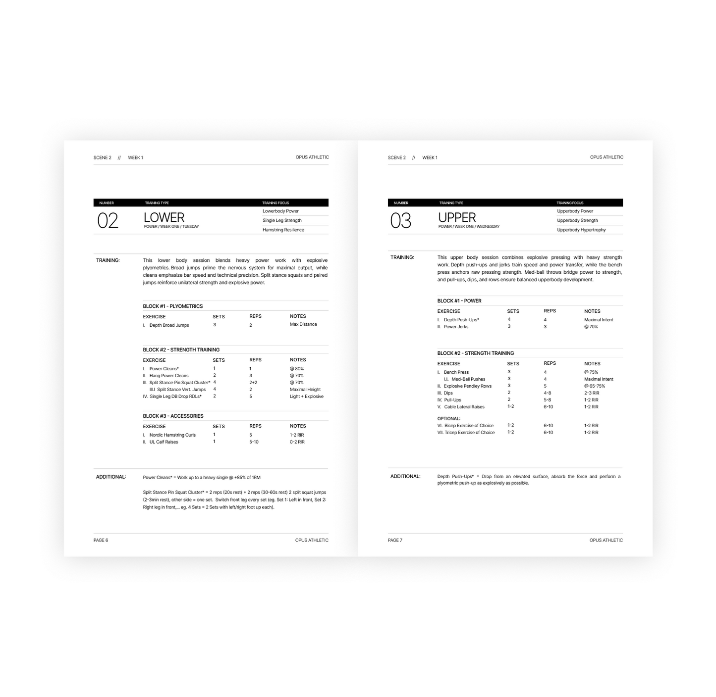 True Athlete - The Program