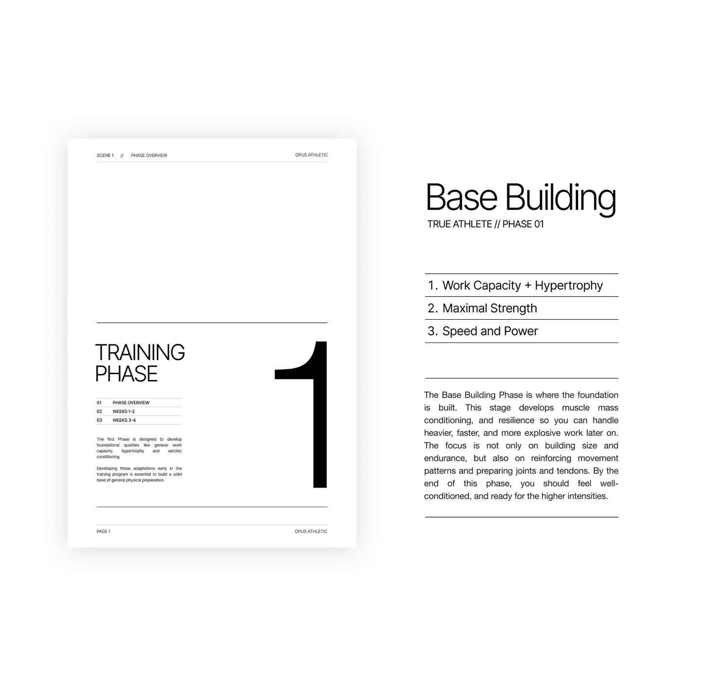 True Athlete - The Program