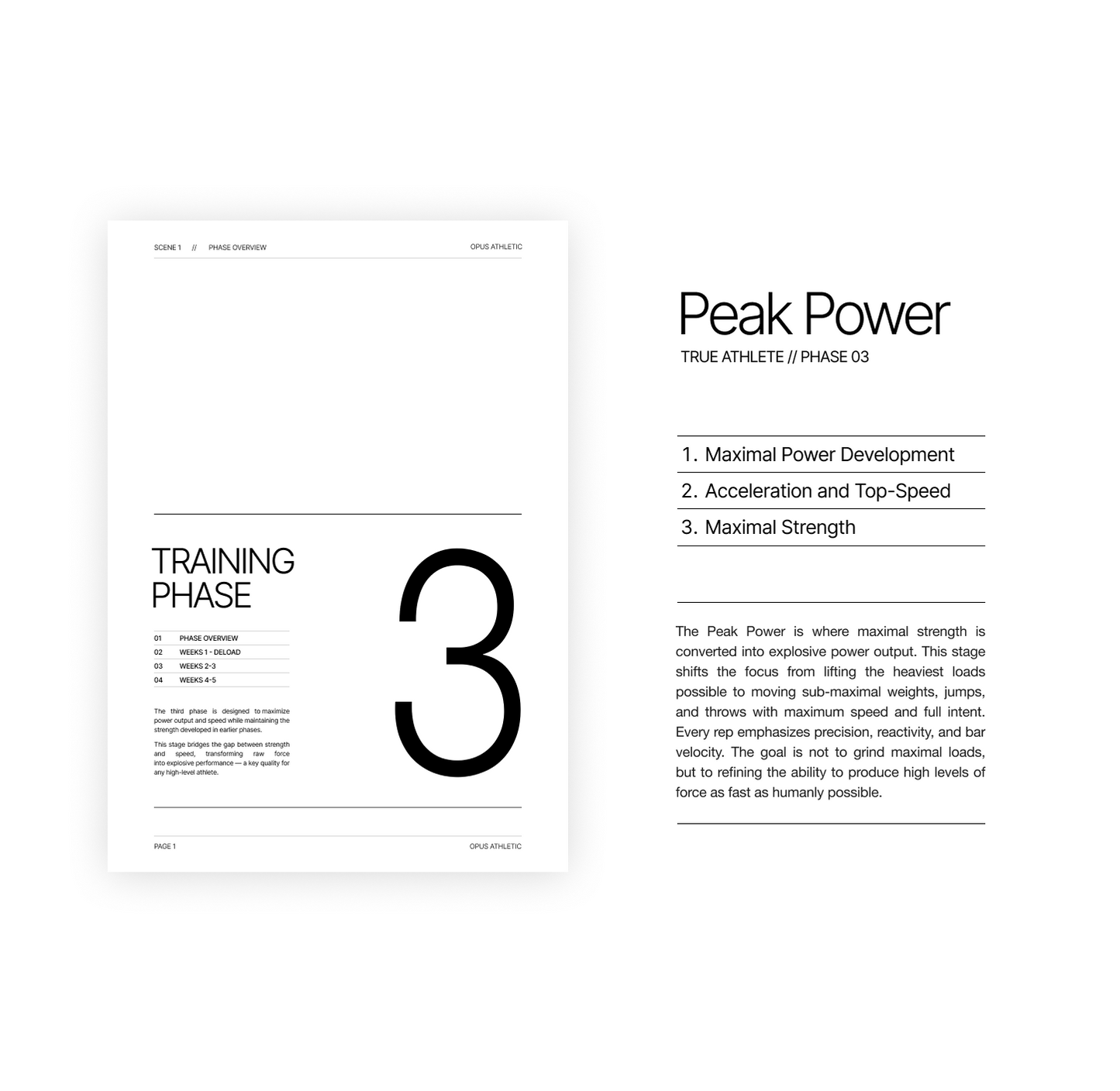 True Athlete - The Program