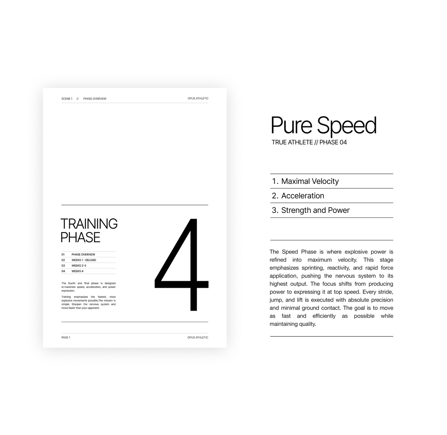 True Athlete - The Program