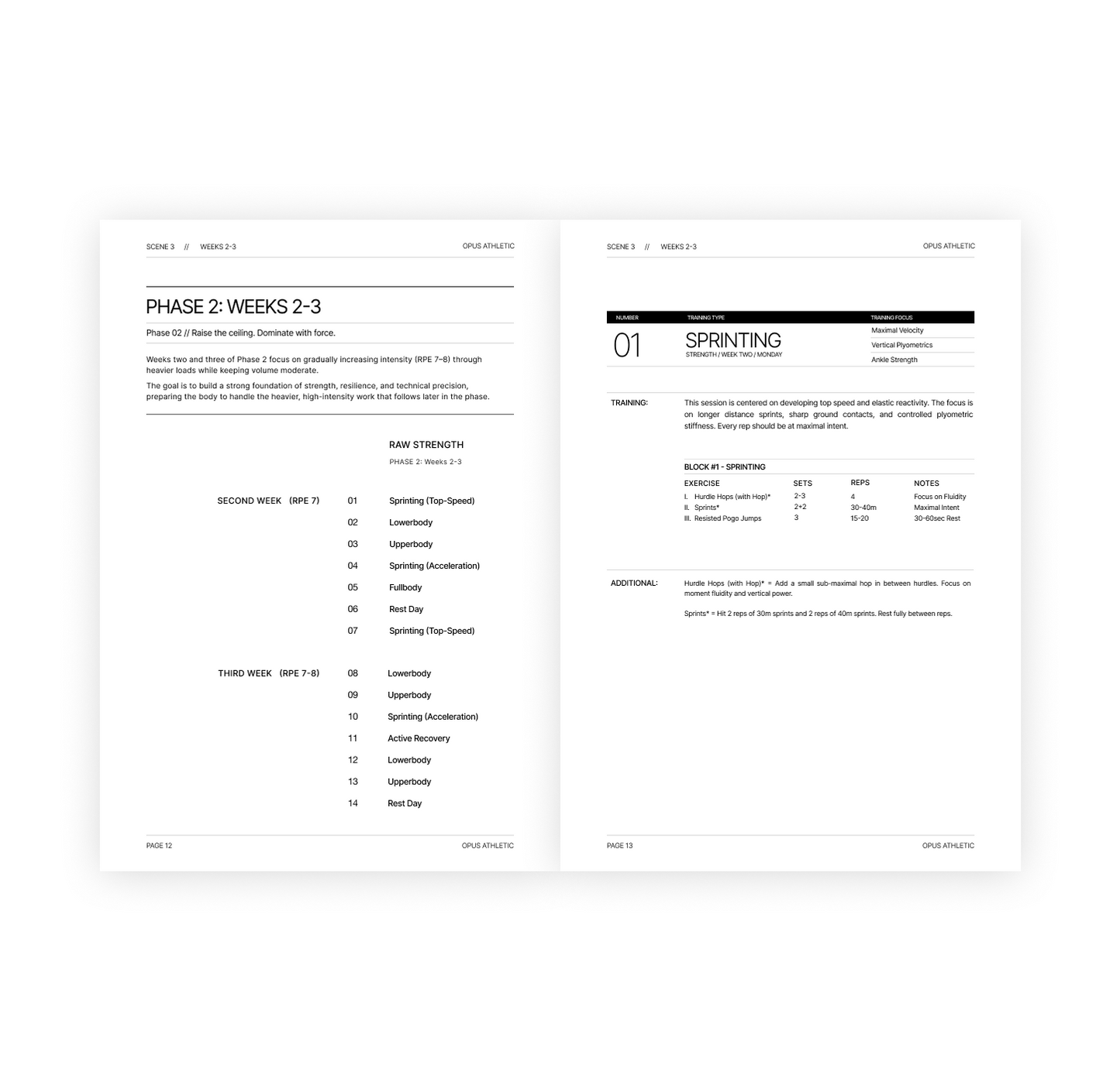 True Athlete - The Program