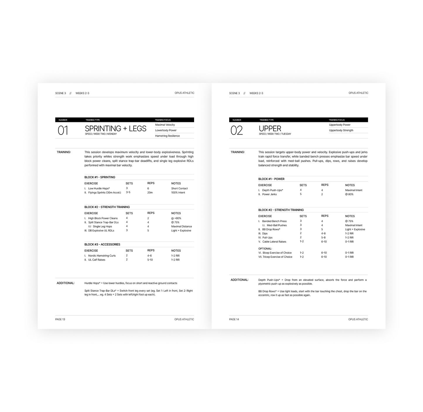 True Athlete - The Program