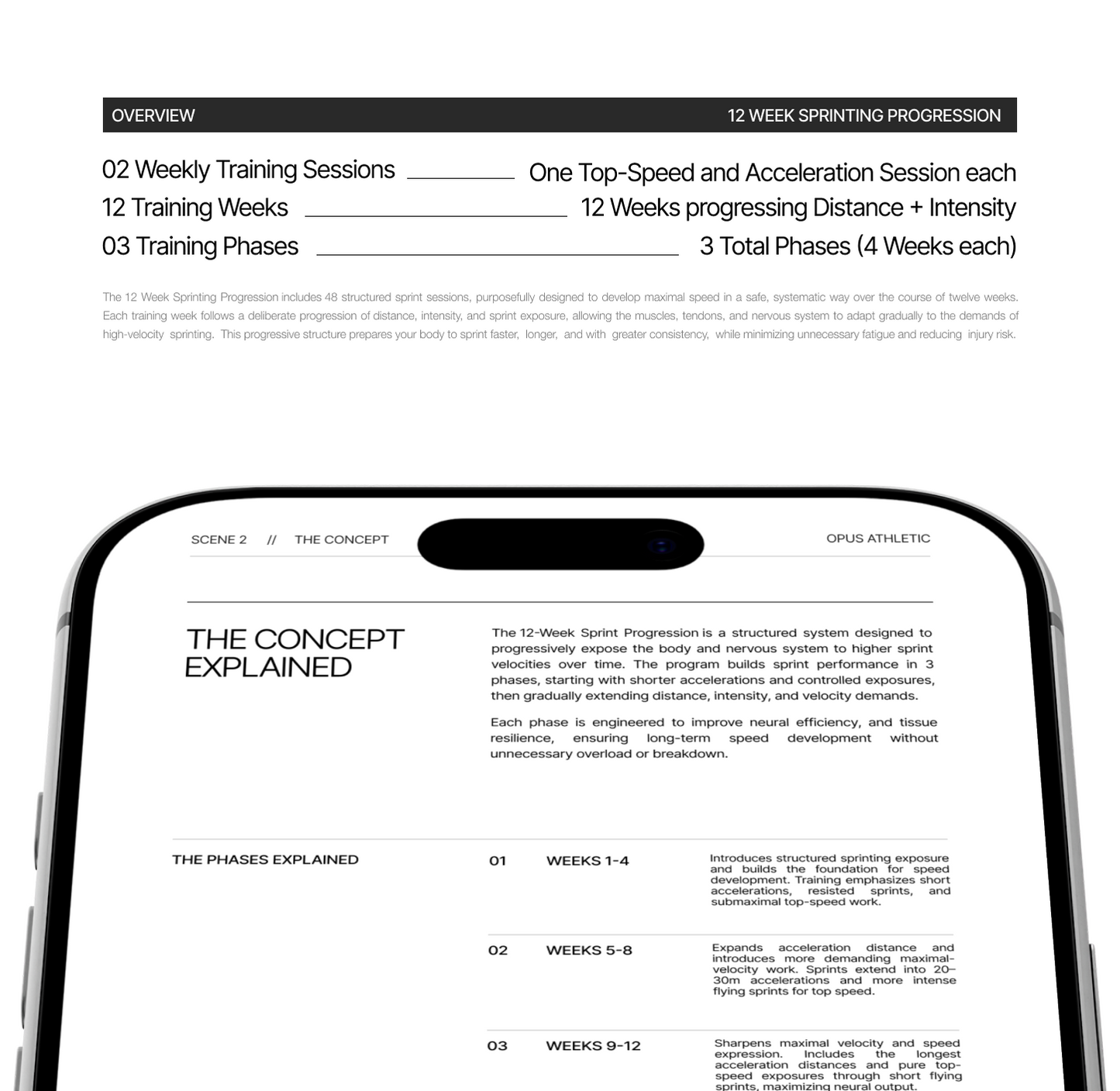 12 Week Sprinting Progression (Sample Workouts)