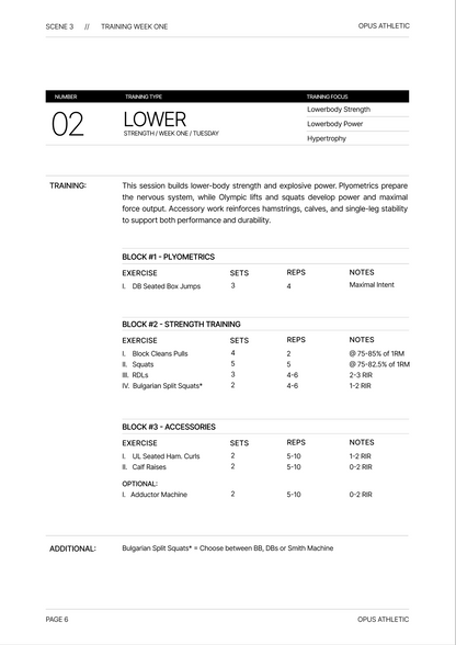 True Athlete – Phase 2: Raw Strength